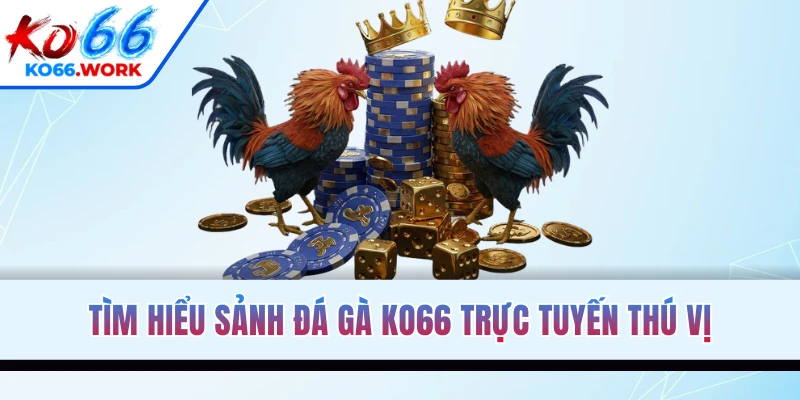 Tìm hiểu sảnh đá gà KO66 trực tuyến thú vị